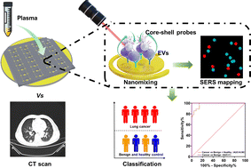 Graphical abstract: Plasma extracellular vesicle phenotyping for the differentiation of early-stage lung cancer and benign lung diseases