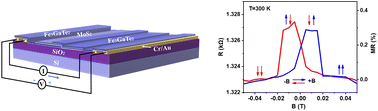 Graphical abstract: Room-temperature spin-valve devices based on Fe3GaTe2/MoS2/Fe3GaTe2 2D van der Waals heterojunctions