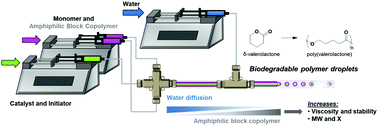 Graphical abstract: Design rules for performing water-sensitive ring-opening polymerizations in an aqueous dispersion