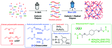 Graphical abstract: One-pot synthesis of structure-controlled temperature-responsive polymer gels