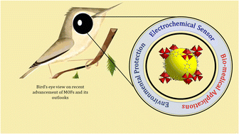 Graphical abstract: Recent advancements of metal–organic frameworks in sensing platforms: relevance in the welfare of the environment and the medical sciences with regard to cancer and SARS-CoV-2