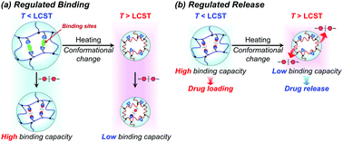 Graphical abstract: Design of molecularly imprinted hydrogels with thermoresponsive drug binding sites