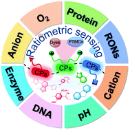 Graphical abstract: Conjugated polymer-based luminescent probes for ratiometric detection of biomolecules