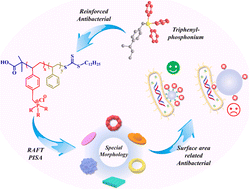 Graphical abstract: Nano-assemblies of phosphonium-functionalized diblock copolymers with fabulous antibacterial properties and relationships of structure-activity