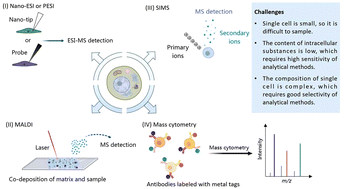 Graphical abstract: Mass spectrometry-based techniques for single-cell analysis