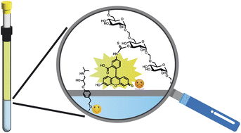 Graphical abstract: In situ setup for screening of drug permeation by NMR spectroscopy