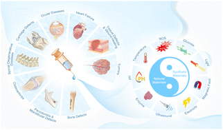 Graphical abstract: Injectable smart stimuli-responsive hydrogels: pioneering advancements in biomedical applications