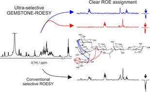 Graphical abstract: Ultra-selective, ultra-clean 1D rotating-frame Overhauser effect spectroscopy