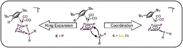 Graphical abstract: Ring expansion vs. addition – reactivity of a cyclo-P4 complex towards pnictogenium cations