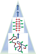 Graphical abstract: Hierarchical assembly of foldable polymers and applications in organic optoelectronics and antibacterial or antiviral materials