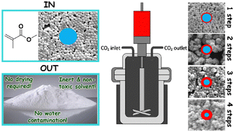 Graphical abstract: Synthesis of core–shell polymer particles in supercritical carbon dioxide via iterative monomer addition