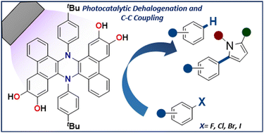 Graphical abstract: Synthesis of a novel tetra-phenol π-extended phenazine and its application as an organo-photocatalyst