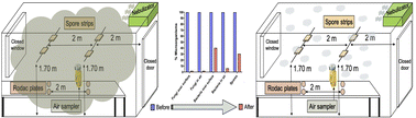 Graphical abstract: Antimicrobial activity of safe concentrations of ozone, hydrogen peroxide, and triethylene glycol in air and surfaces