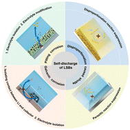 Graphical abstract: Shelf life of lithium–sulfur batteries under lean electrolytes: status and challenges