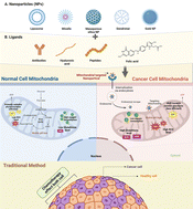 Graphical abstract: Circumventing challenges in mitochondrial targeting for cancer treatment: leveraging nanoplatforms for effective solutions