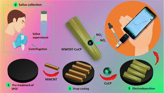 Graphical abstract: Enzyme mimetic electrochemical sensor for salivary nitrite detection using copper chlorophyllin and carbon nanotubes-functionalized screen printed electrodes