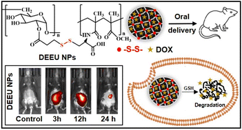 Graphical abstract: Dextran/eudragit S-100 based redox sensitive nanoparticles for colorectal cancer therapy