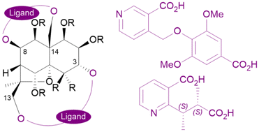 Graphical abstract: Celastraceae sesquiterpene pyridyl ligands