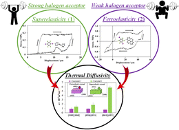 Graphical abstract: A role of intermolecular interaction modulating thermal diffusivity in organosuperelastic and organoferroelastic cocrystals