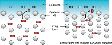 Graphical abstract: Local microenvironment tuning induces switching between electrochemical CO2 reduction pathways