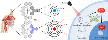 Graphical abstract: X-ray sensitive selenium-containing Ru complexes sensitize nasopharyngeal carcinoma cells for radio/chemotherapy