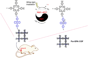 Graphical abstract: Porphyrin–anthracene covalent organic frameworks for sustainable photosterilization