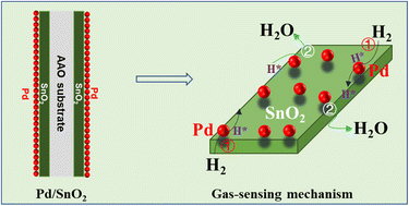 Graphical abstract: Nano-Schottky-junction-engineered Pd/SnO2 nanotube array for ultrasensitive hydrogen sensing at room temperature