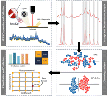 Graphical abstract: Identification of hypermucoviscous Klebsiella pneumoniae strains via untargeted surface-enhanced Raman spectroscopy