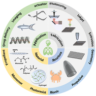 Graphical abstract: 3D-printed microrobots for biomedical applications