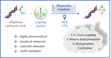 Graphical abstract: Photocatalytic decarboxylation of free carboxylic acids and their functionalization