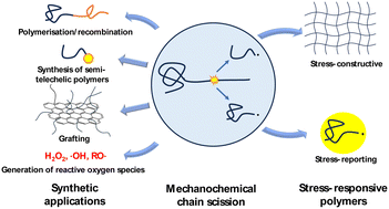 Graphical abstract: Productive chemistry induced by mechanochemically generated macroradicals