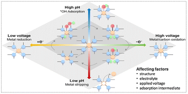 Graphical abstract: Dynamic evolution of metal–nitrogen–codoped carbon catalysts in electrocatalytic reactions