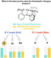 Graphical abstract: Role of Lewis acid/base anchor atoms in catalyst regeneration: a comprehensive study on biomimetic EP3Fe nitrogenases