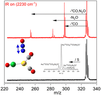 Graphical abstract: Infrared spectra and fragmentation dynamics of isotopologue-selective mixed-ligand complexes