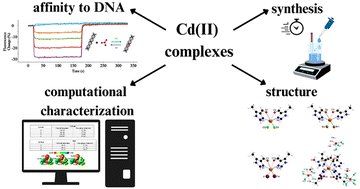 Graphical abstract: Exploring novel Cd(ii) complexes with 5-methyl-4-imidazolecarboxaldehyde: synthesis, structure, computational insights, and affinity to DNA through switchSense methodology