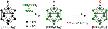 Graphical abstract: Enhanced methods for the undecachlorination of [HCB11H11]− and syntheses of [XCB11Cl11]− from [HCB11Cl11]− (X = Cl, Br, I, NH2)