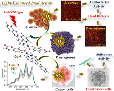 Graphical abstract: Red and NIR light-triggered enhancement of anticancer and antibacterial activities of dinuclear Co(ii)-catecholate complexes