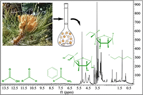 Graphical abstract: Characterization of organic species and functional groups in pollen, fungi, algae, and bacteria bioaerosols