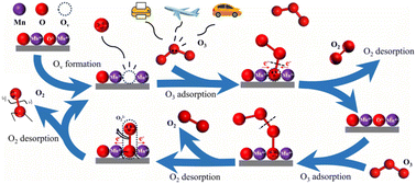 Graphical abstract: Morphological impact of 1-dimensional to 3-dimensional manganese dioxides on catalytic ozone decomposition correlated with crystal facets and lattice oxygen mobilities