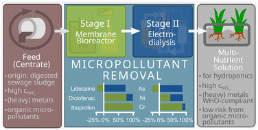 Graphical abstract: Multiple barriers for micropollutants in nutrient recovery from centrate – combining membrane bioreactor and electrodialysis