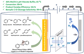 Graphical abstract: Rhombohedral ZnIn2S4-catalysed anodic direct electrochemical oxidative cleavage of C–O bond in α-O-4 linkages in ambient conditions