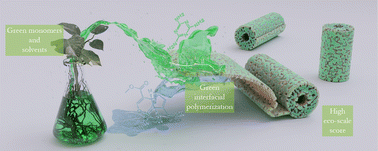 Graphical abstract: Alternative materials for interfacial polymerization: recent approaches for greener membranes