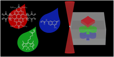 Graphical abstract: Two-photon laser printing of 3D multicolor emissive polymer microstructures