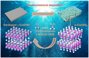 Graphical abstract: In situ evolution of bulk-active γ-CoOOH with immobilized Gd dopants enabling efficient oxygen evolution electrocatalysis