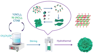 Graphical abstract: Yttrium doping stabilizes the structure of Ni3(NO3)2(OH)4 cathodes for application in advanced Ni–Zn batteries