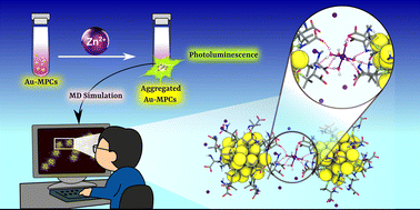 Graphical abstract: A molecular dynamics study on the ion-mediated self-assembly of monolayer-protected nanoclusters