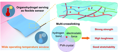Graphical abstract: Multi-crosslinked strong, tough and anti-freezing organohydrogels for flexible sensors