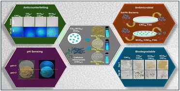 Graphical abstract: Biodegradable cellulose nanocrystal composites doped with carbon dots for packaging and anticounterfeiting applications