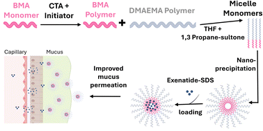 Graphical abstract: Novel zwitterionic densely charged neutral sulfobetaine polymeric micelles for oral delivery of therapeutic peptides: a proof-of-concept study