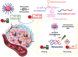 Graphical abstract: Therapeutic applications of responsive organic photocatalytic polymers, enabling in situ drug activation